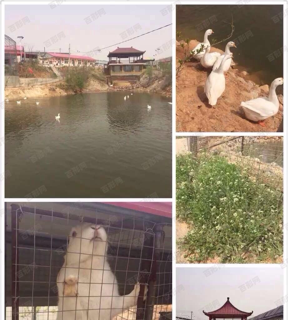 龋齿填补，最重要的就是牙釉质这么点小地方没补好