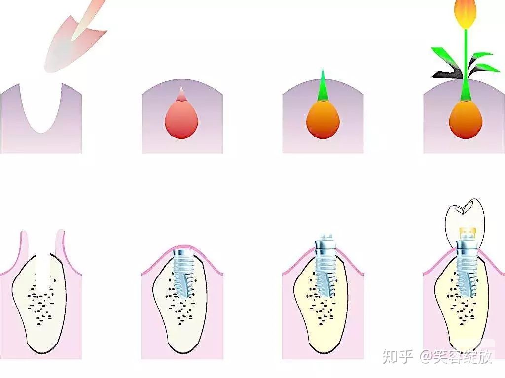 新版上海徐匯區(qū)牙科醫(yī)院排行榜全揭露！甄選維樂口腔|滬申五官科|尤旦口腔地址特色新鮮出爐!