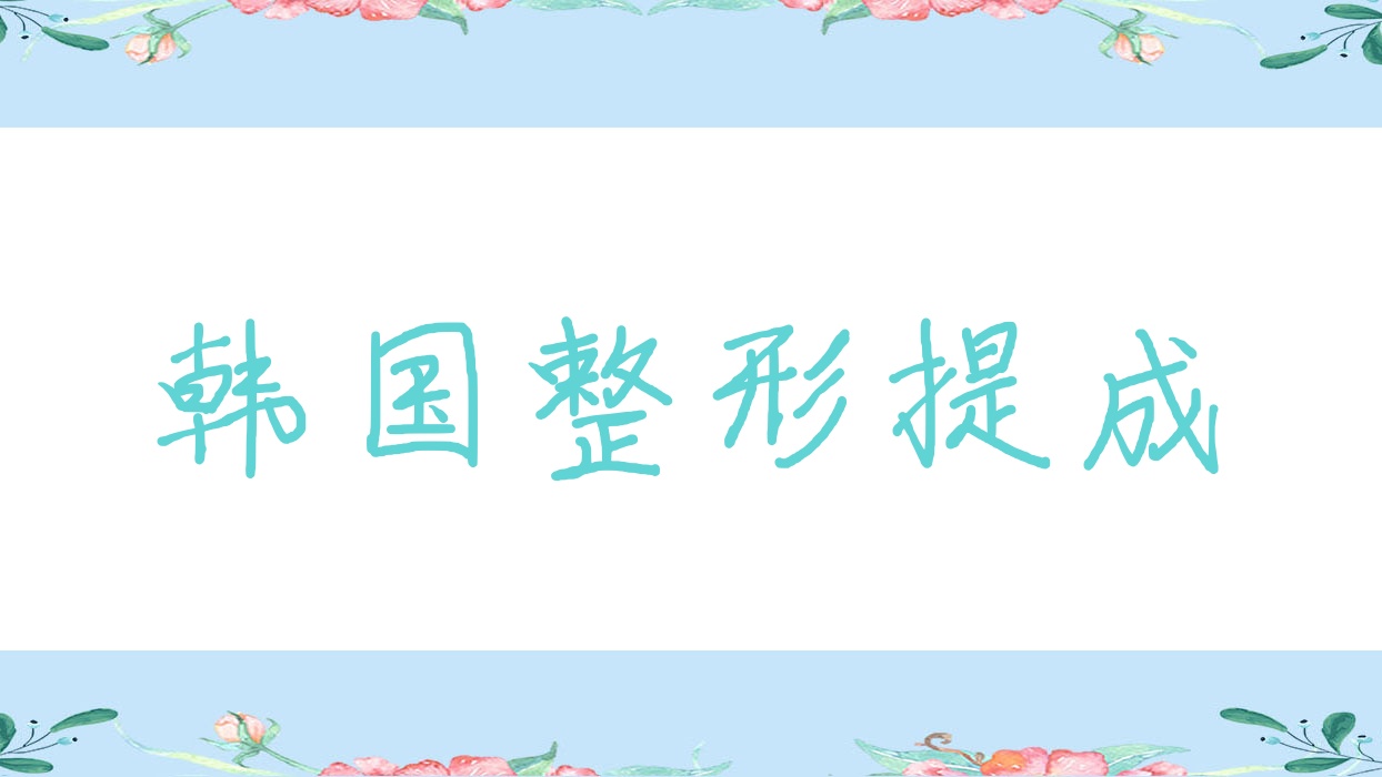 韓國整形提成(韓國整形業(yè))