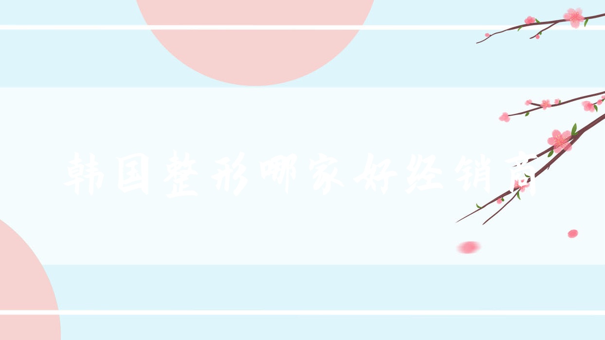 韓國(guó)整形哪家好經(jīng)銷商(哪家韓國(guó)整形整容醫(yī)院最好)
