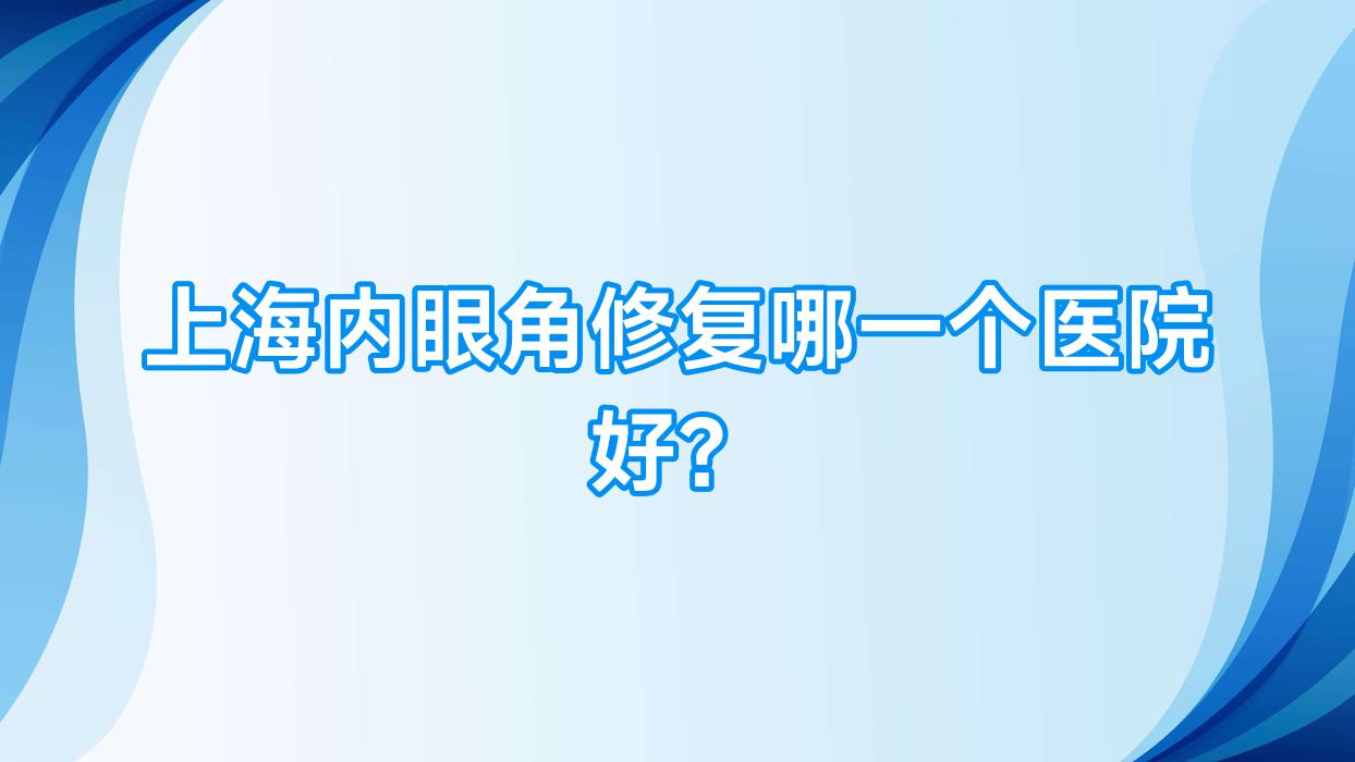 上海內(nèi)眼角修復(fù)哪一個醫(yī)院好？優(yōu)選十家本地硬實力很高的整形機構(gòu)