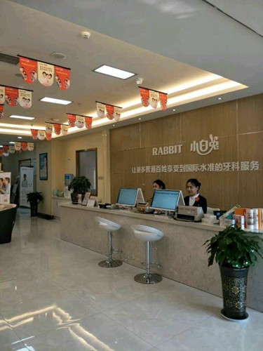 寶雞小白兔